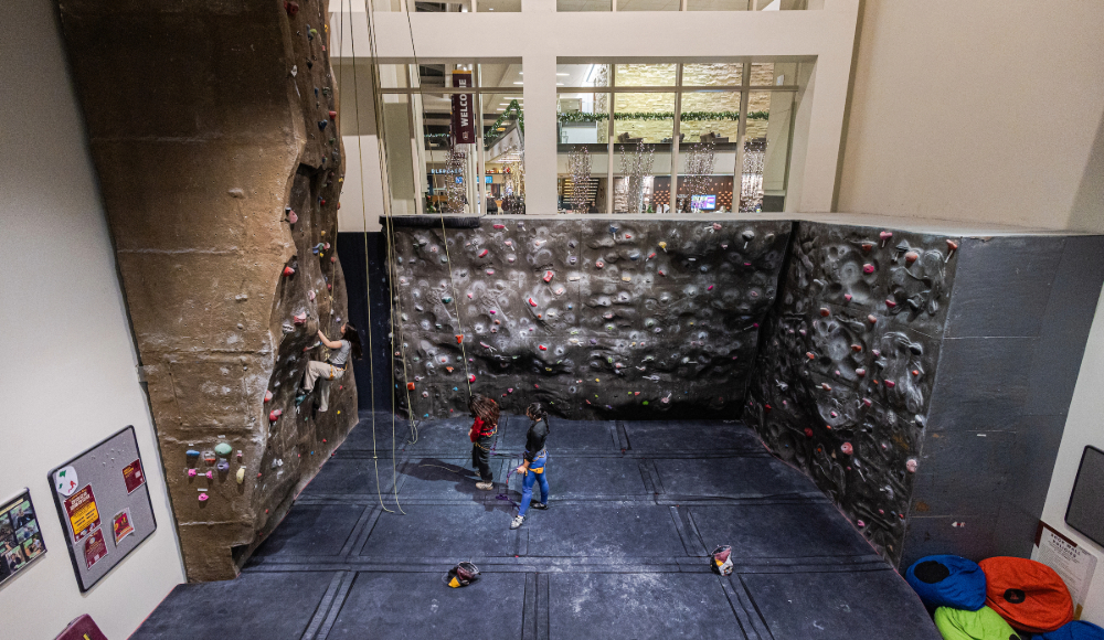 Indoor climbing gym with a tall rock wall; a person is ascending, ropes hang from the ceiling, and a padded floor is visible below. Large windows overlook the brightly lit indoor space.
